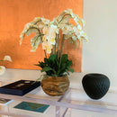 Tigela grande de teca com orquídeas brancas