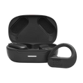 JBL Endurance Peak 3